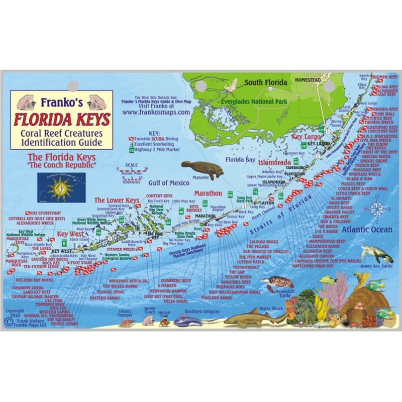 Franko Maps Florida Keys Dive Creature Guide 5.5 X 8.5 Inch