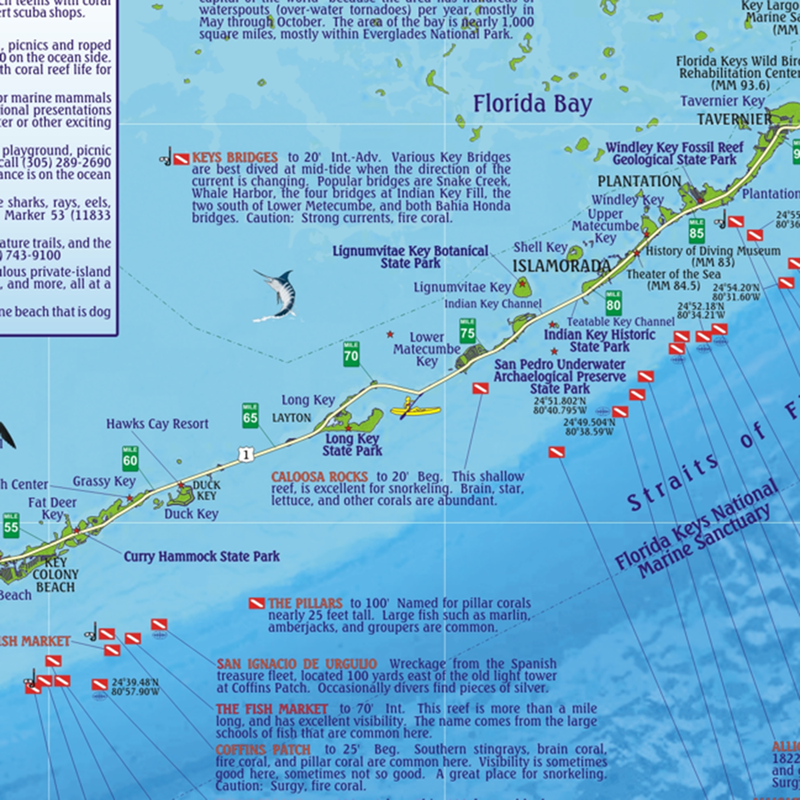 Franko Maps Florida Keys Dive Creature Adventure Guide 18 X 26 Inch