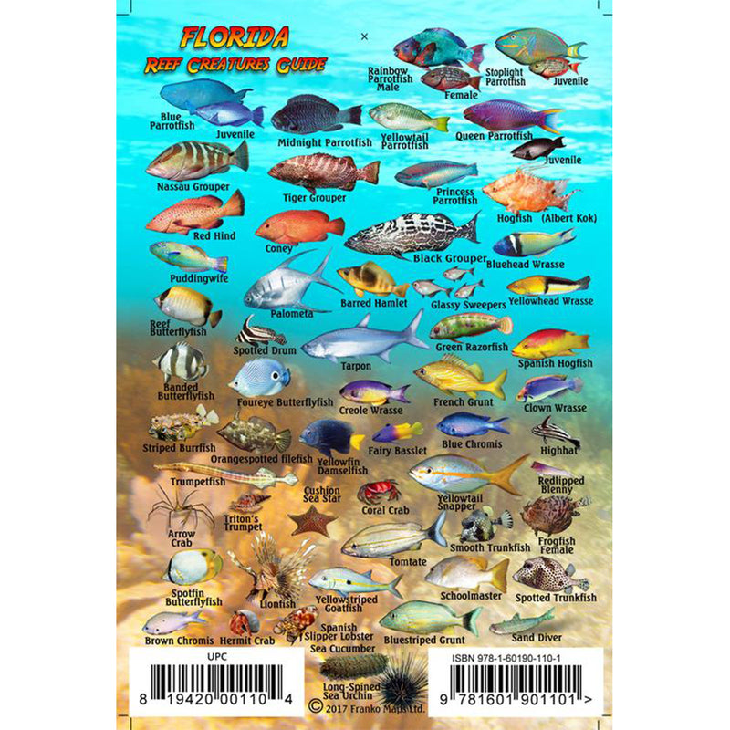 Franko Maps Florida Reef Creature Guide 4 X 6 Inch