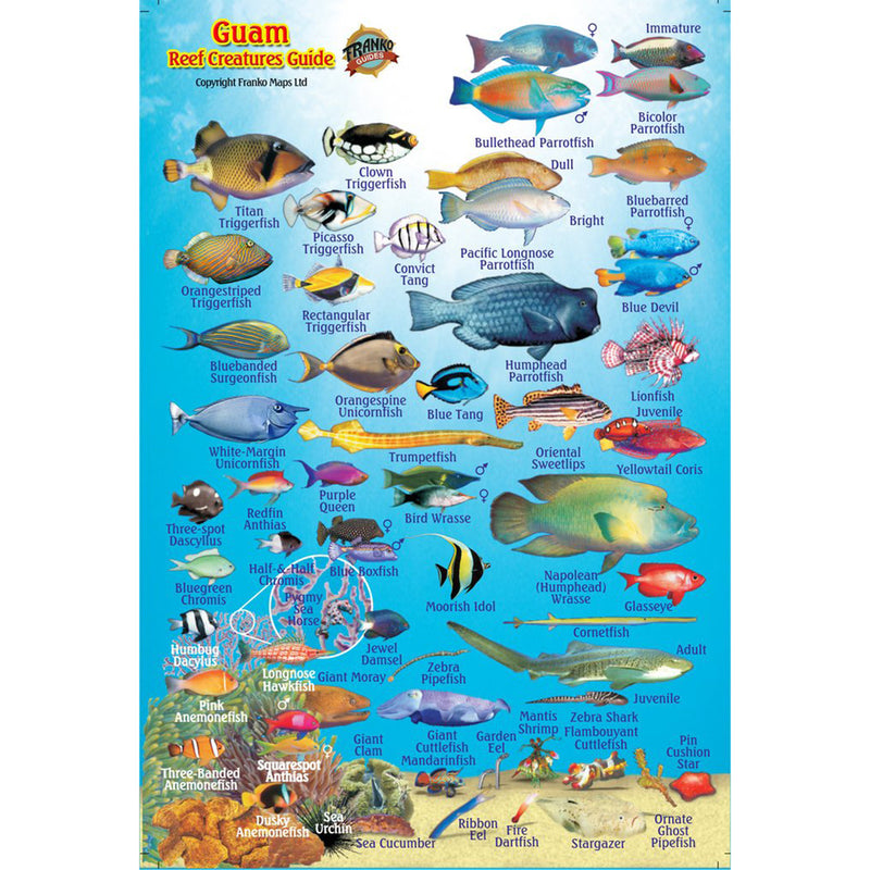 Franko Maps Guam Reef Creature Guide 4 X 6 Inch