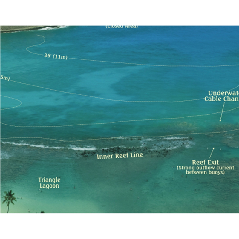 Franko Maps Hanauma Bay Creature Guide 14 X 21 Inch