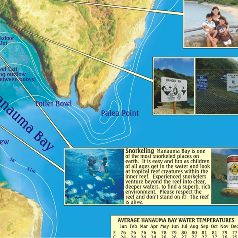 Franko Maps Hanauma Bay Creature Guide 14 X 21 Inch