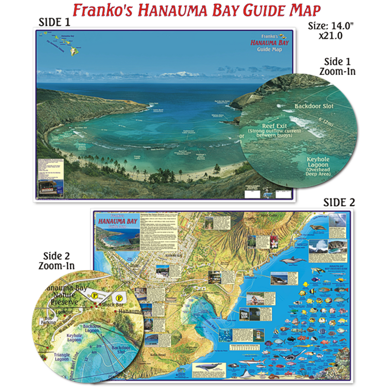 Franko Maps Hanauma Bay Creature Guide 14 X 21 Inch