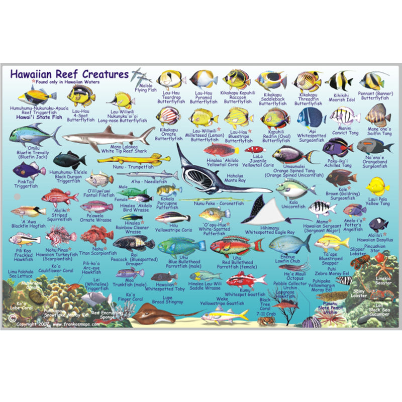 Franko Maps Hawaiian Islands Reef Creature Guide 6 X 9 Inch