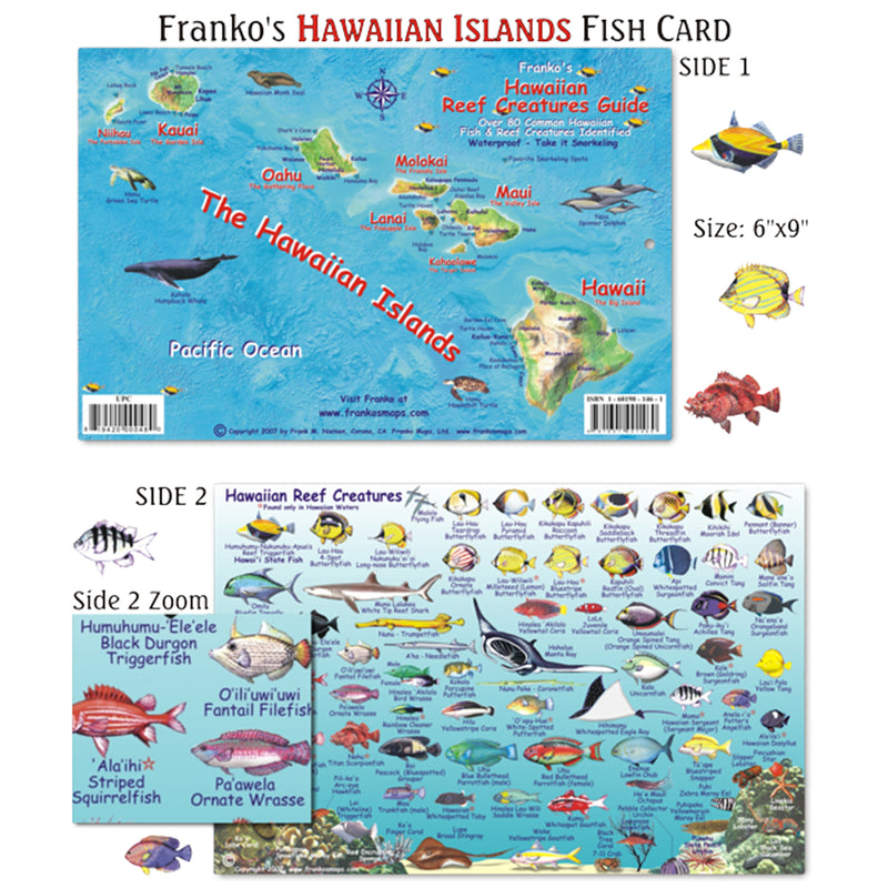 Franko Maps Hawaiian Islands Reef Creature Guide 6 X 9 Inch