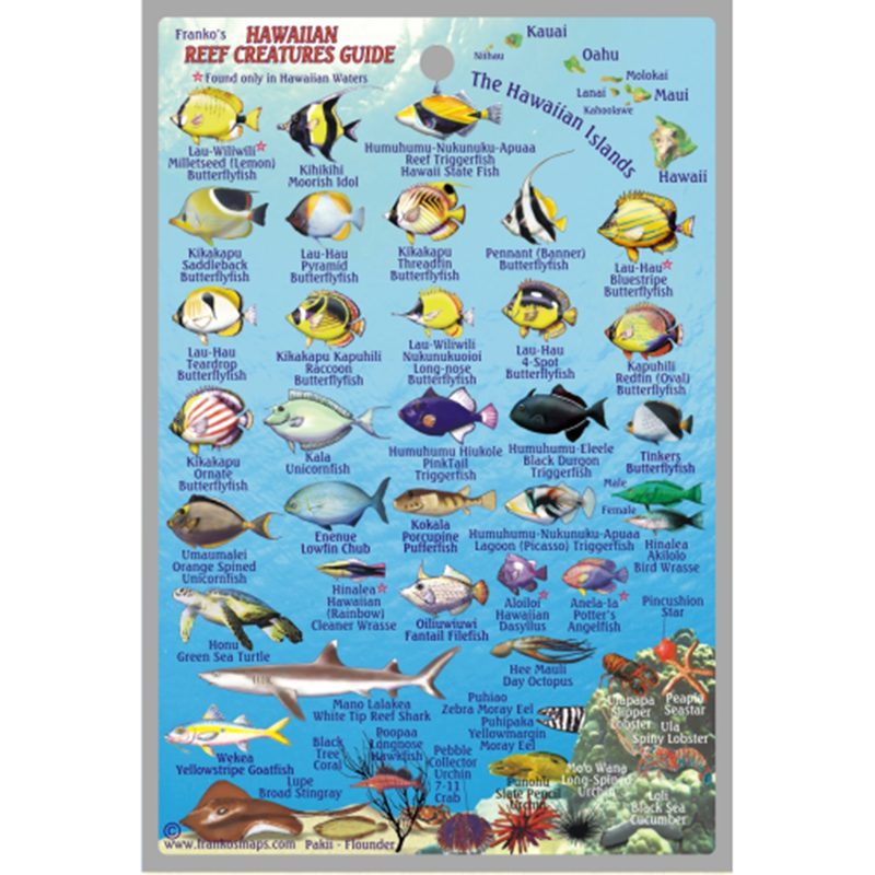 Franko Maps Hawaiian Reef Creature Guide 4 X 6 Inch