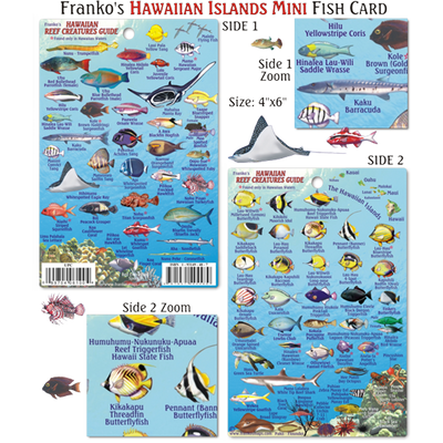 Franko Maps Hawaiian Reef Creature Guide 4 X 6 Inch
