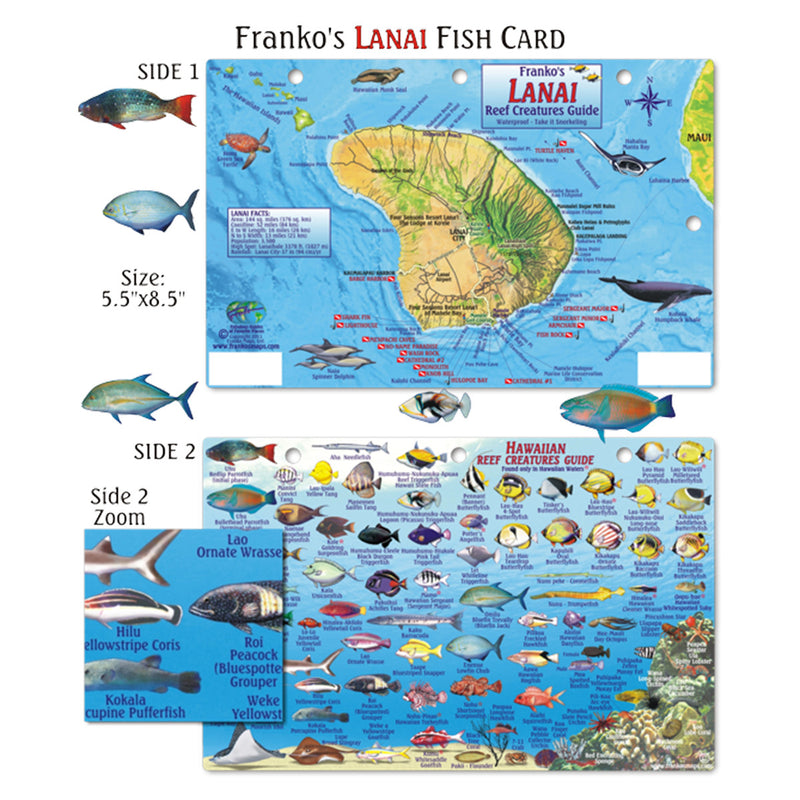 Franko Maps Lanai Hawaiian Reef Dive Creature Guide 5.5 X 8.5 Inch