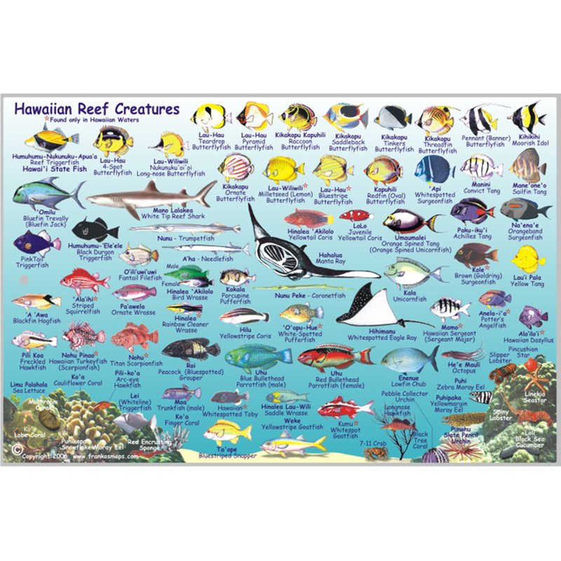 Franko Maps Molokai Hawaii Reef Dive Creature Guide 6 X 9 Inch