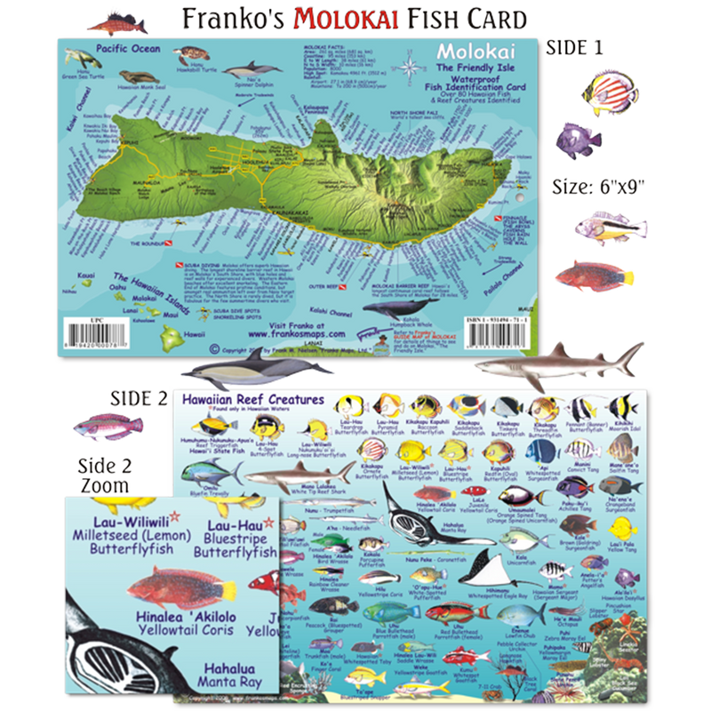 Franko Maps Molokai Hawaii Reef Dive Creature Guide 6 X 9 Inch