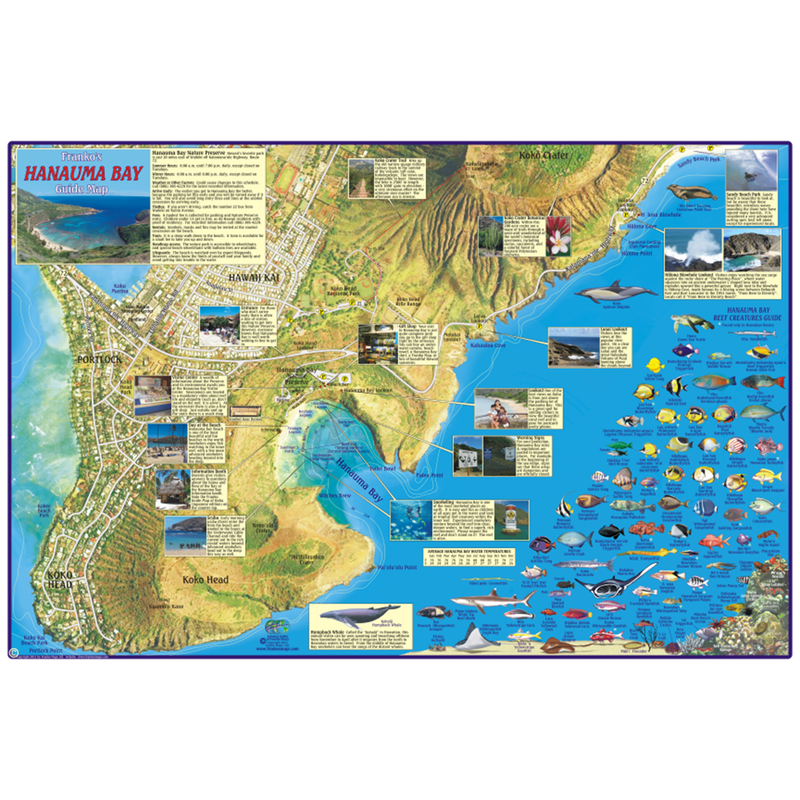 Franko Maps Hanauma Bay Creature Guide 14 X 21 Inch