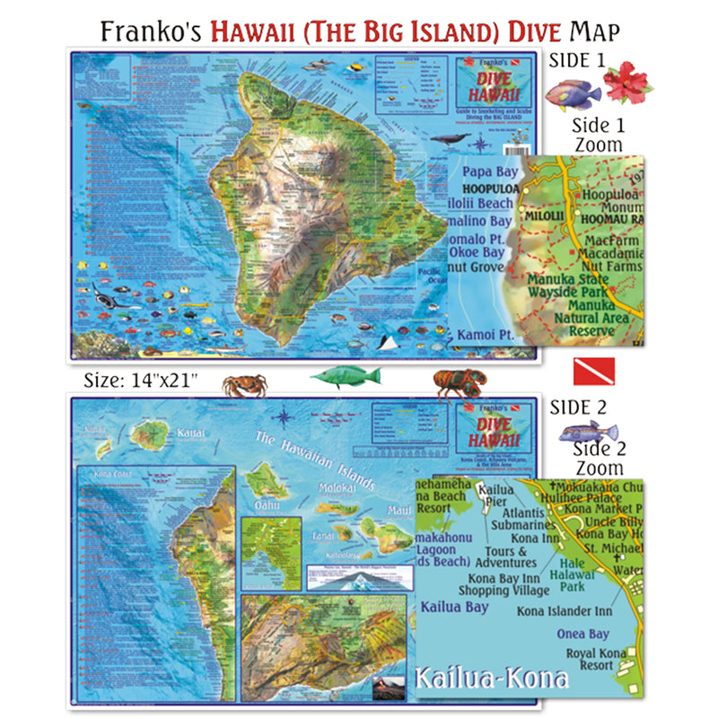 Franko Maps Hawaii Big Island Dive Creature Guide 14 X 21 Inch