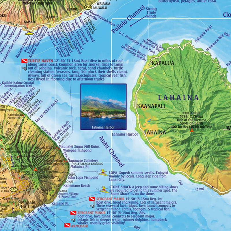 Franko Maps Hawaii Maui Dive Creature Guide 14 X 21 Inch