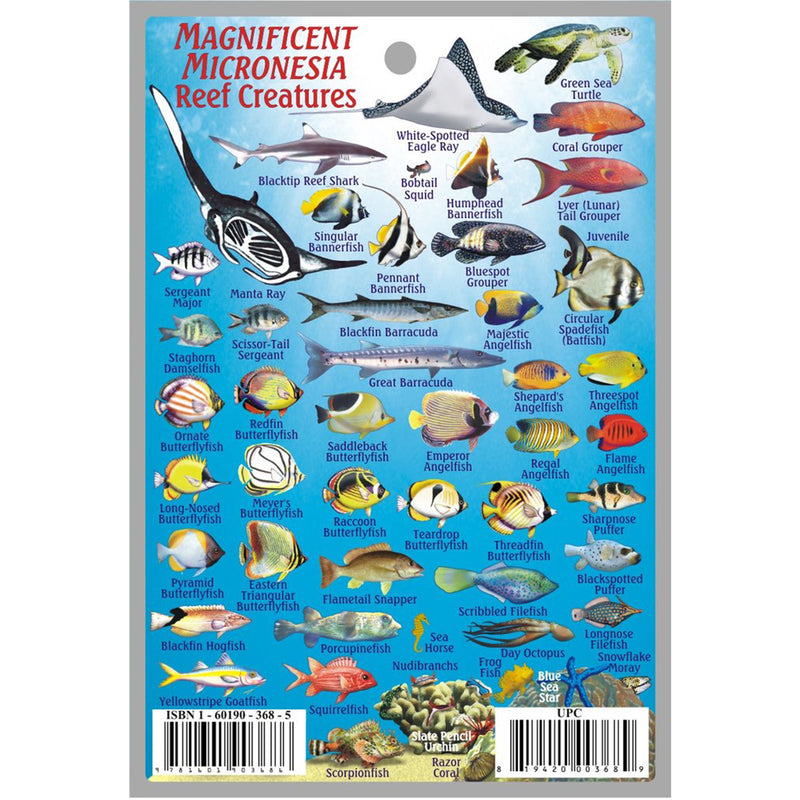 Franko Maps Micronesia Reef Creature Guide 4.25 X 6.25 Inch