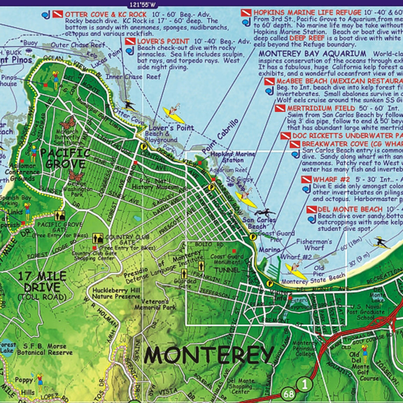 Franko Maps Monterey Bay Dive Creature Guide 14 X 21 Inch