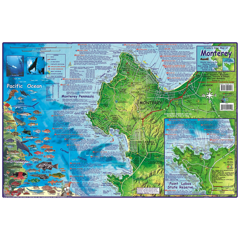 Franko Maps Monterey Bay Dive Creature Guide 14 X 21 Inch