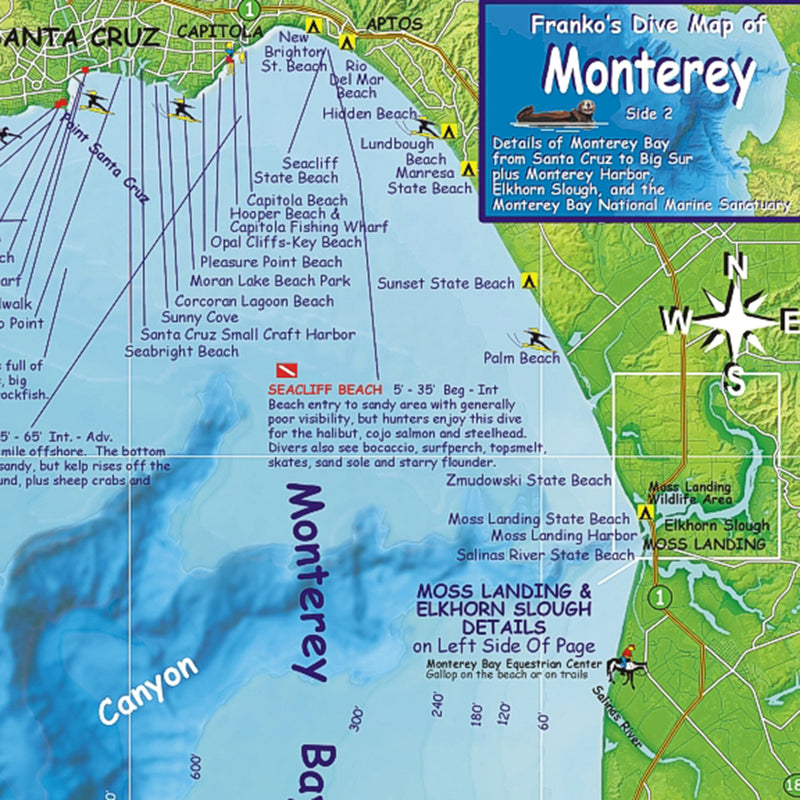 Franko Maps Monterey Bay Dive Creature Guide 14 X 21 Inch