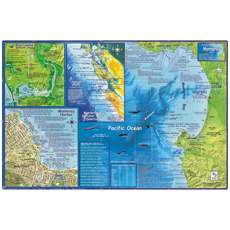Franko Maps Monterey Bay Dive Creature Guide 14 X 21 Inch