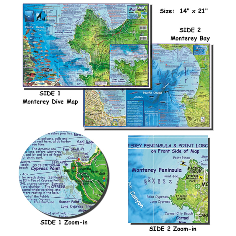 Franko Maps Monterey Bay Dive Creature Guide 14 X 21 Inch