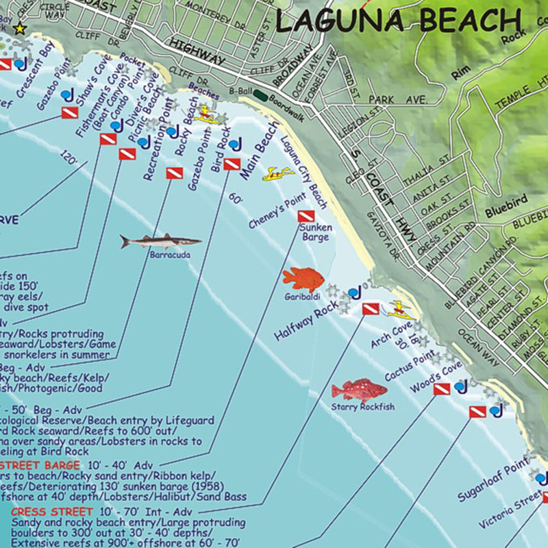 Franko Maps Orange County Coast Dive Creature Guide 14 X 21 Inch