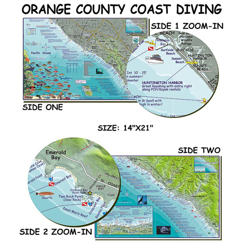 Franko Maps Orange County Coast Dive Creature Guide 14 X 21 Inch
