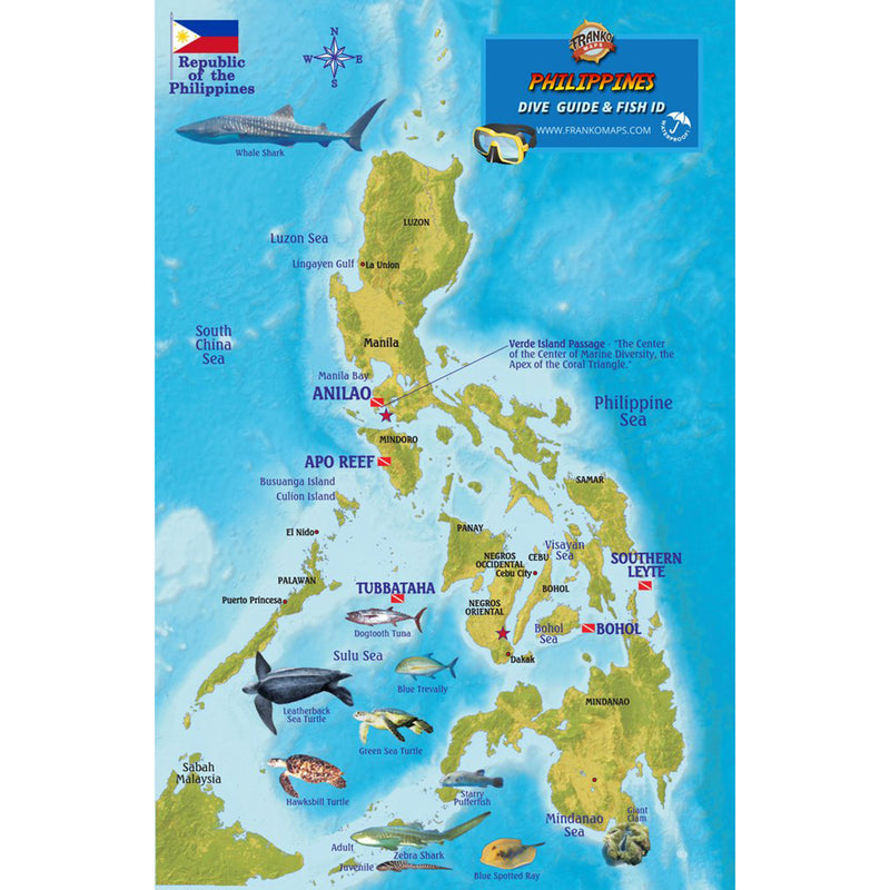 Franko Maps Philippines Reef Dive Creature Guide 5.5 X 8.5 Inch