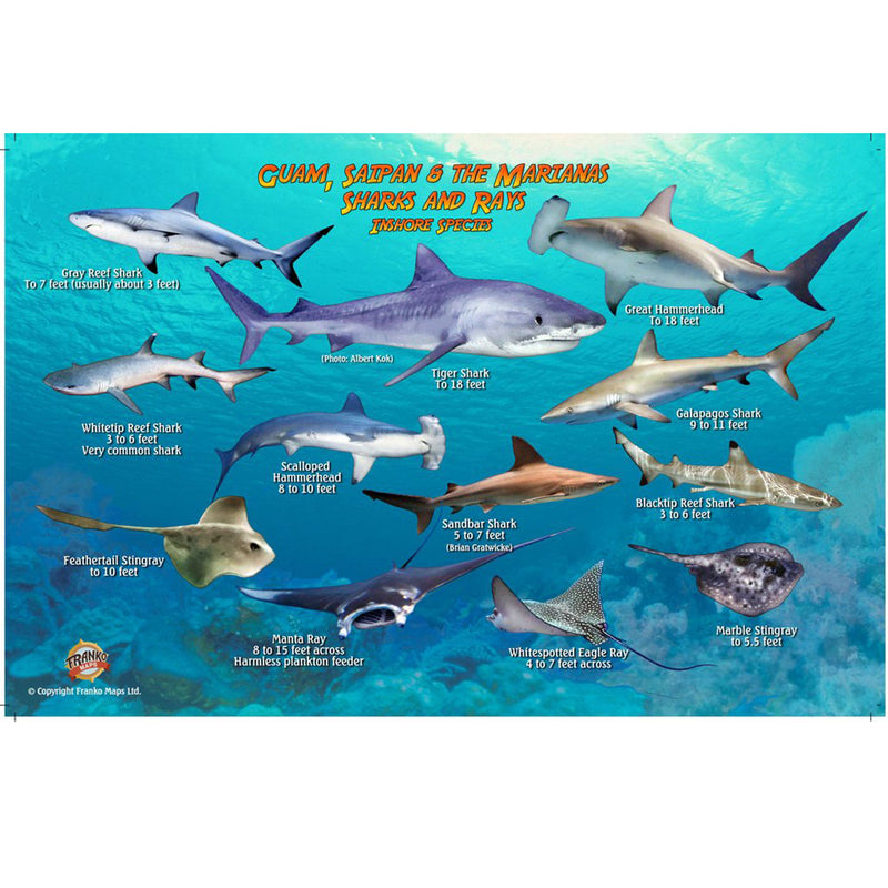 Franko Maps Guam Saipan Sharks Rays Creature Guide 5.5 X 8.5 Inch