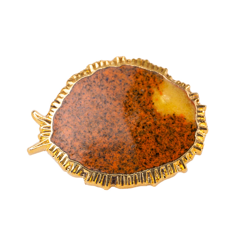 Abalone Pin