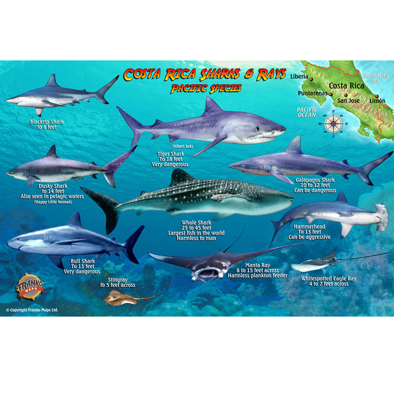 Franko Maps Costa Rica Sharks Rays Creature Guide 5.5 X 8.5 Inch