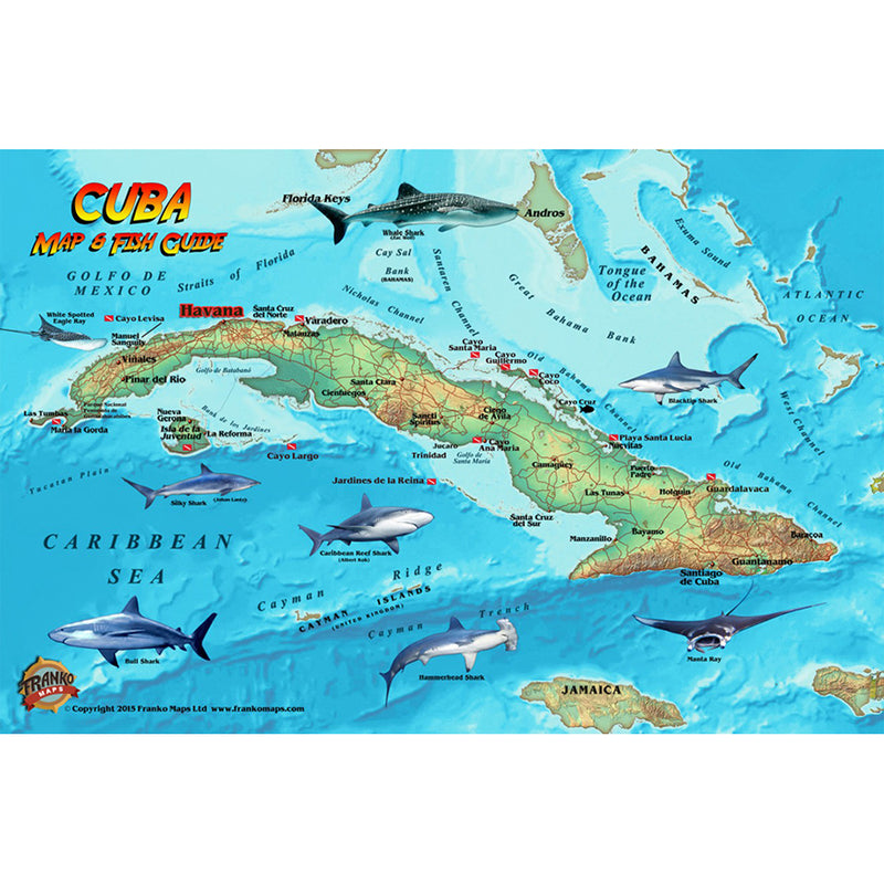 Franko Maps Cuba Reef Dive Creature Guide 5.5 X 8.5 Inch
