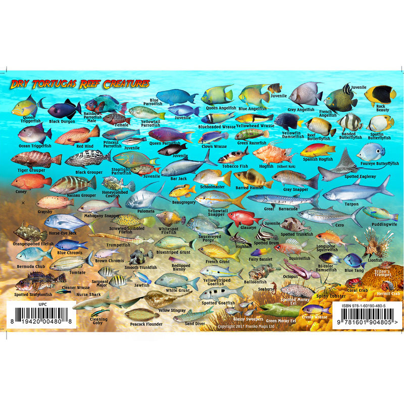 Franko Maps Dry Tortugas Reef Dive Creature Guide 5.5 X 8.5 Inch