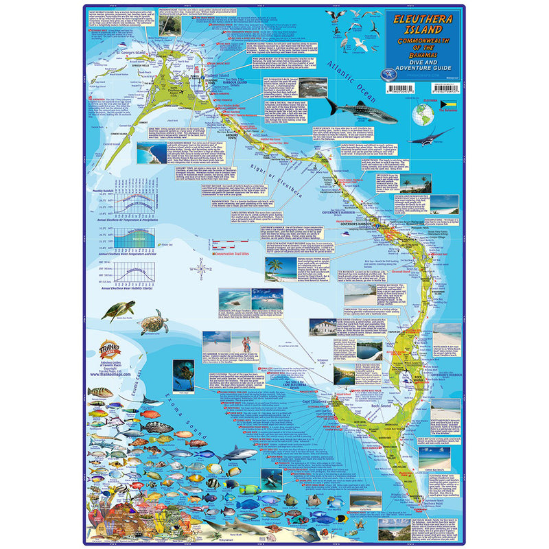 Franko Maps Eleuthera Island Dive Creature Guide 18 X 26 Inch
