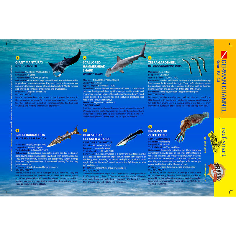 Franko Maps German Channel Dive Creature Guide 5.5 X 8.5 Inch