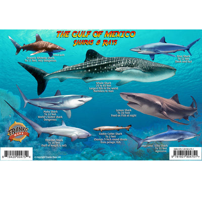 Franko Maps Gulf of Mexico Sharks Rays Creature Guide 5.5 X 8.5 Inch