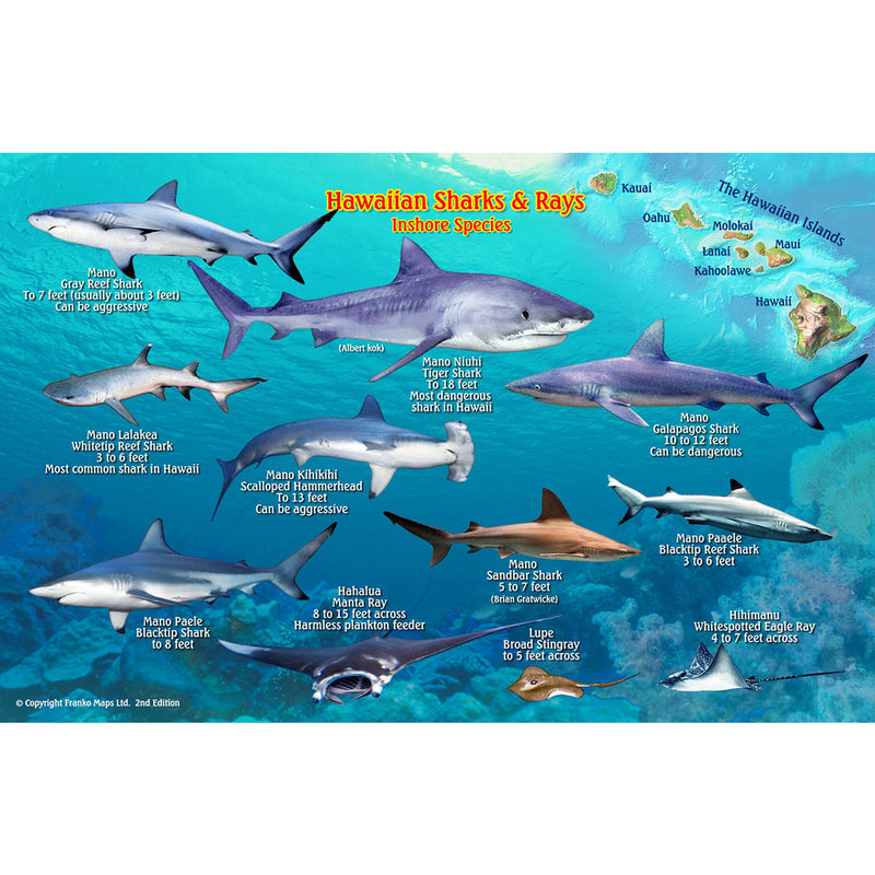 Franko Maps Hawaiian Sharks Rays Dive Creature Guide 5.5 X 8.5 Inch