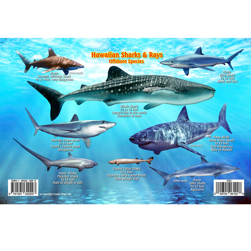 Franko Maps Hawaiian Sharks Rays Dive Creature Guide 5.5 X 8.5 Inch