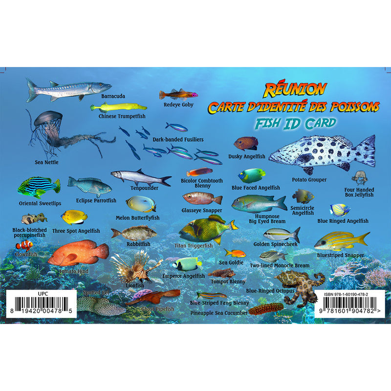 Franko Maps Reunion Island Reef Dive Creature Guide 5.5 X 8.5 Inch