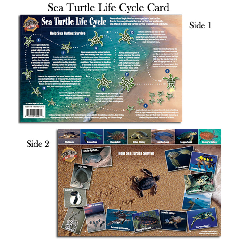 Franko Maps Sea Turtle Lifecycle Creature Guide 5.5 X 8.5 Inch