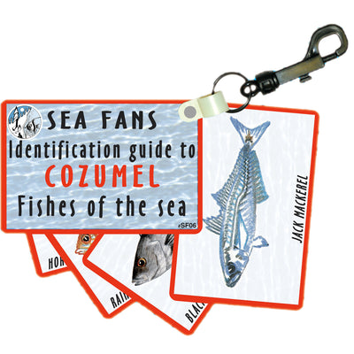 Waterproof Fish ID Fan Deck With Swiveling Snap Hook, Cozumel