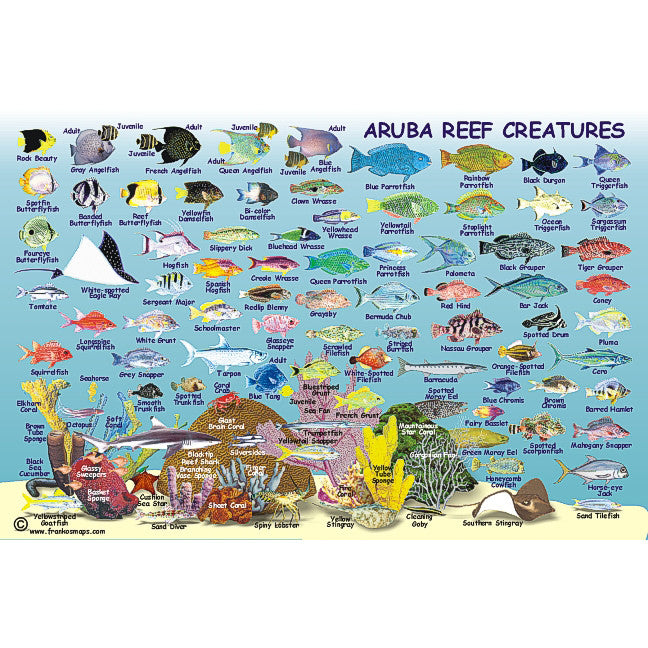 Franko Maps Aruba Coral Reef Dive Creature Guide 5.5 X 8.5 Inch