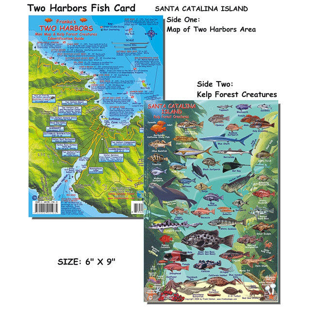 Franko Maps Two Harbors Catalina Dive Creature Guide 6 X 9 Inch