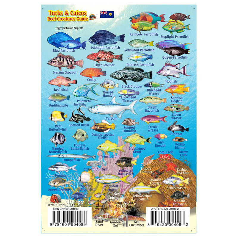 Franko Maps Turks And Caicos Reef Creature Guide 4 X 6 Inch
